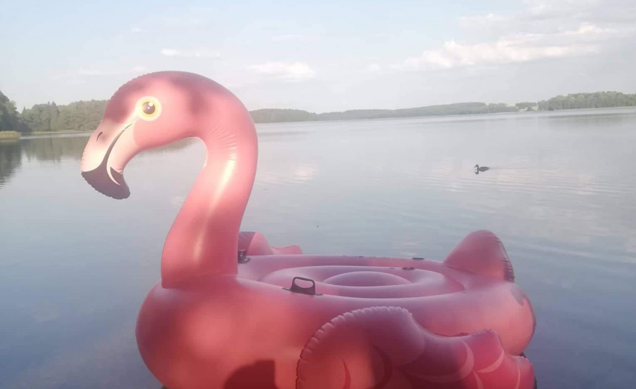 Laisvalaikio daiktų nuoma, Pripučiamas plaustas flamingas nuoma, Vilnius