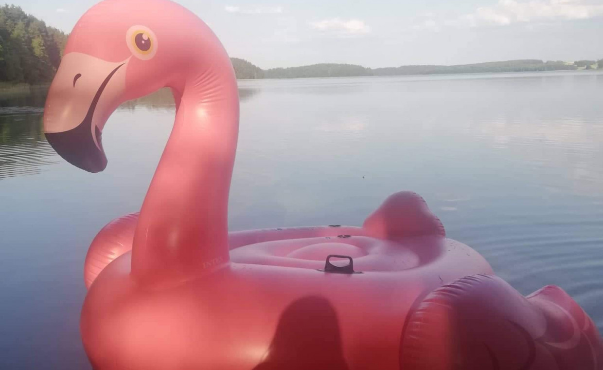 Laisvalaikio daiktų nuoma, Pripučiamas plaustas flamingas nuoma, Vilnius