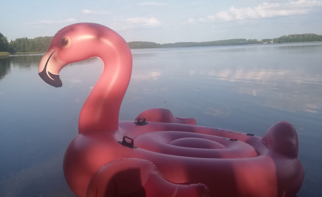 Laisvalaikio daiktų nuoma, Pripučiamas flamingas/čiuzinys nuoma, Vilnius