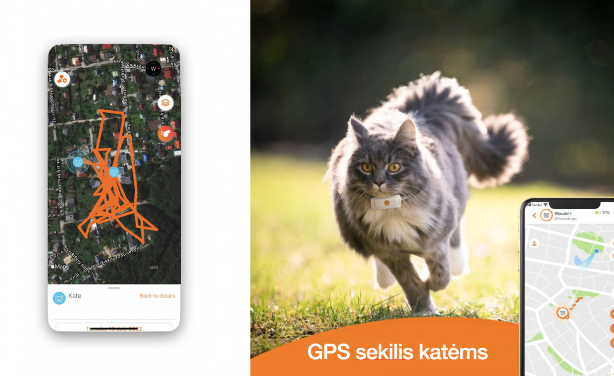 Laisvalaikio daiktų nuoma, Weenect GPS siekiklis katėms nuoma, Vilnius