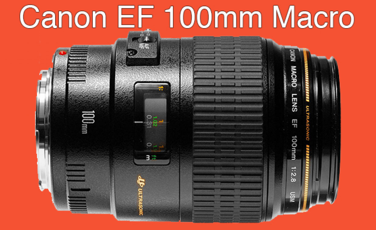 Objektyvų nuoma, Canon EF 100mm f/2.8 Macro USM nuoma, Vilnius