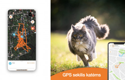 Weenect GPS siekiklis katėms